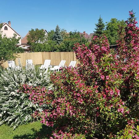 Kovacs Vendeghaz Apartment Matraderecske ภายนอก รูปภาพ