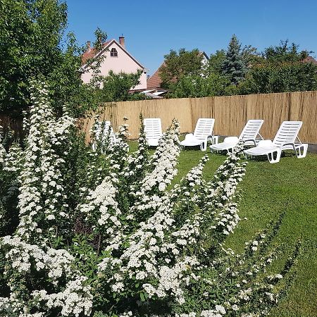 Kovacs Vendeghaz Apartment Matraderecske ภายนอก รูปภาพ